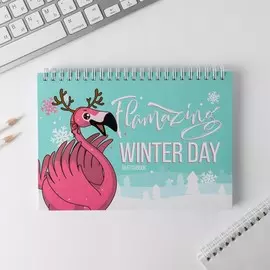 Скетчбук горизонтальный на гребне flamazing winter day, а5,80 листов