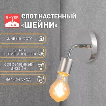 Спот