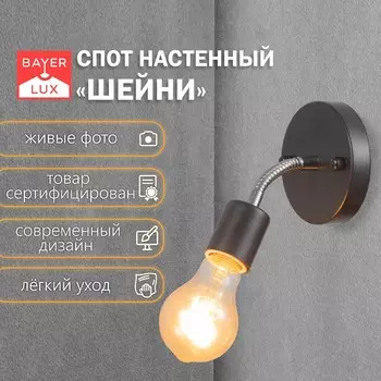 Спот