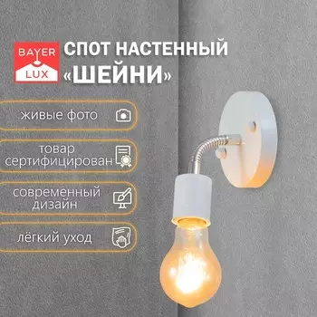 Спот