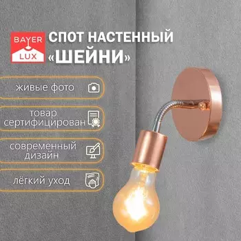 Спот