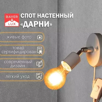Спот