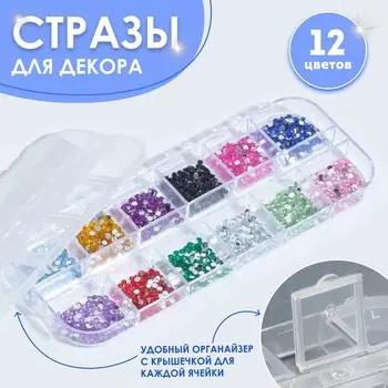 Стразы для декора, 12 ячеек, 2 мм, разноцветные