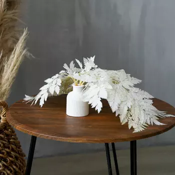 Сухоцвет