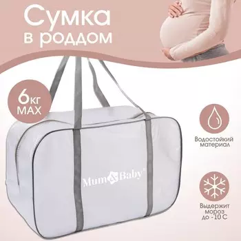 Сумка для роддома 30х50х25 пвх