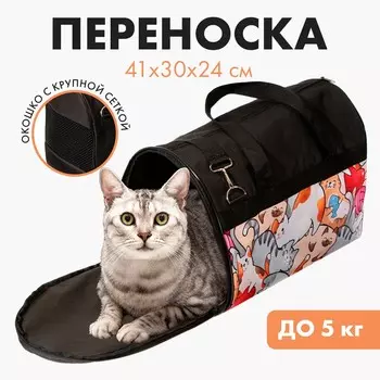 Сумка - переноска