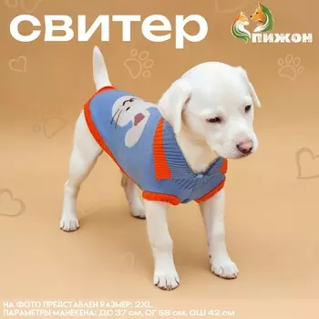 Свитер для животных
