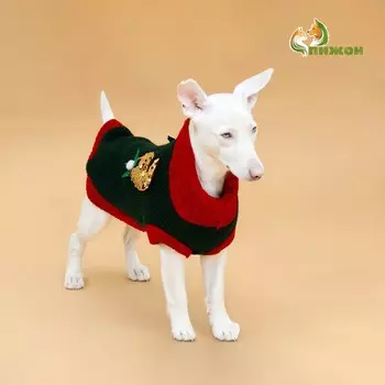 Свитер для животных