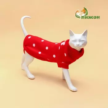 Свитер для животных