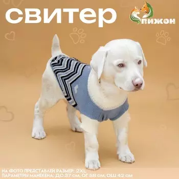 Свитер для животных