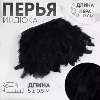 Тесьма с перьями индюка, 13-17 см, 5±0.5 м, черная