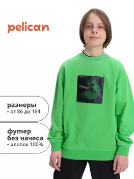 Толстовка