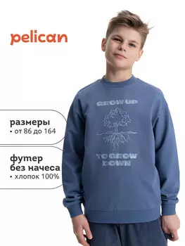 Толстовка