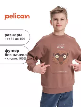 Толстовка