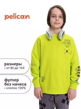 Толстовка