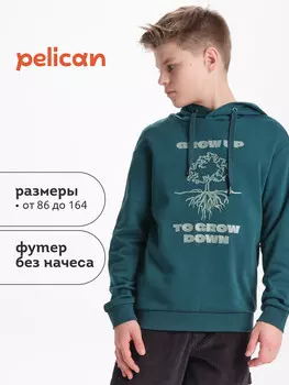 Толстовка