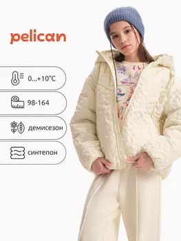 Ветровка