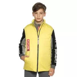Жилет