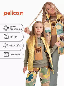 Жилет