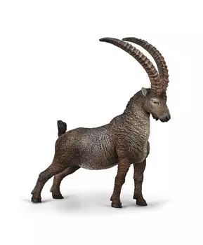 Альпийский горный козёл, L