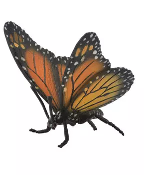 Бабочка-монарх, L