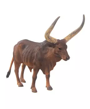 Бык Анколе-Ватуси, L