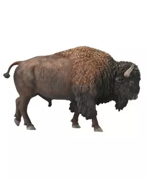 Бык Бизон американский, XL