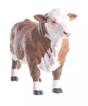 Бык герефордский, L