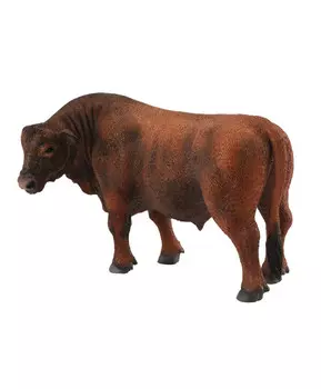 Бык Красный Ангусский, L