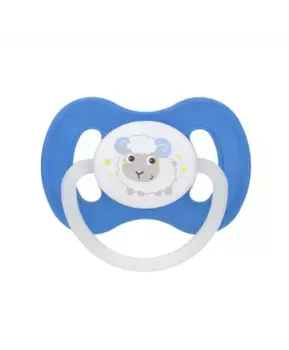 Canpol Babies Пустышка симметричная силиконовая Bunny & company, 6-18 мес., цвет голубой