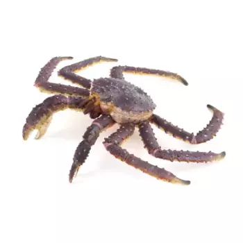Фигурка Камчатский краб морские обитатели