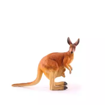 Collecta Фигурка Красный кенгуру L