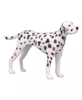 Далматинец , M (10,1 см)