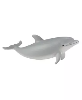 Дельфина-афалины детёныш, S