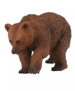 Детеныш бурого медведя, S