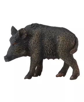 Дикая свинья, M