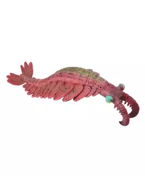 Динозавр Аномалокарис, L