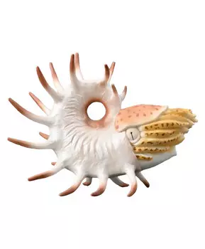 Динозавр Купероцерас, XL