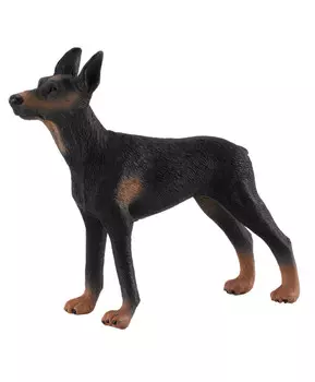 Доберман-пинчер , L (10,5 см)