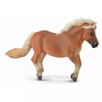 Collecta Фигурка Шетлендский пони M