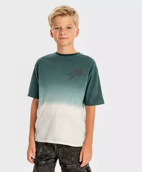 Футболка градиент с коротким рукавом и принтом зеленая для мальчика Button Blue (146)