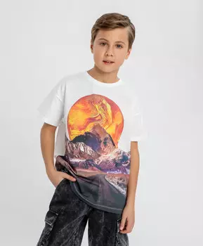 Футболка с принтом белая для мальчика Button Blue (158)