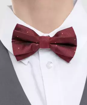 Галстук-бабочка бордовая Button Blue (31)