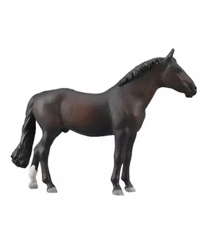 Гнедой жеребец голштинской породы, XL