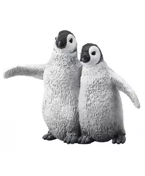 Императорский пингвин детёныш, M