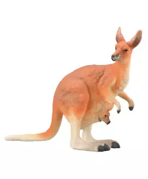 Кенгуру красный самка, L