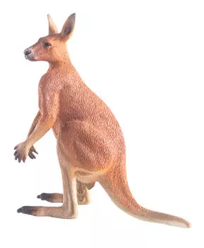 Кенгуру самец, L