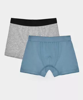 Комплект трусов боксеров из двух штук мультицвет для мальчика Button Blue (122-128)