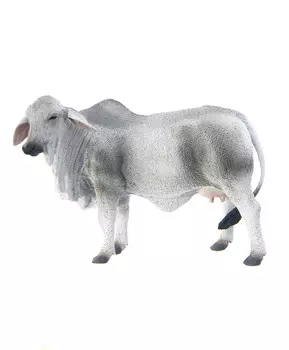 Корова Брахмана, L