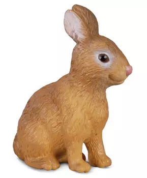 Кролик рыжий, S